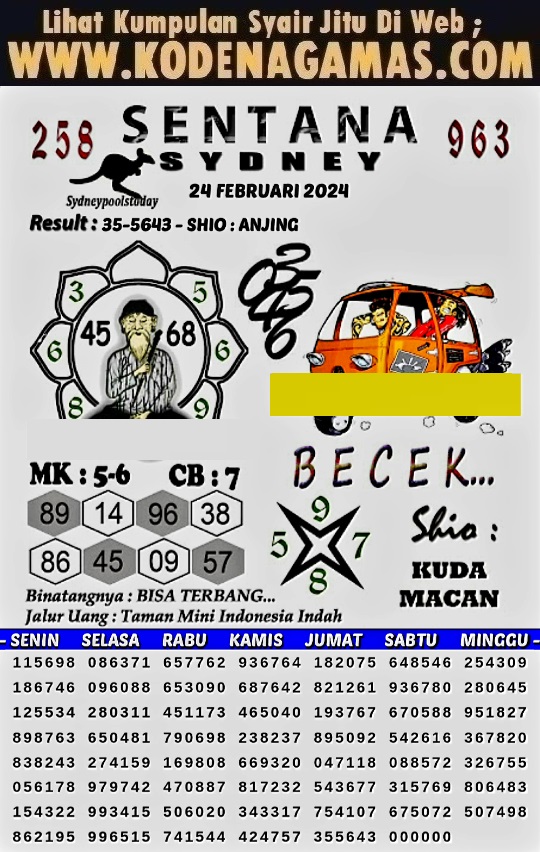 SYAIR SDY VIP
